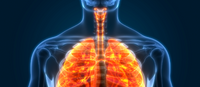 Improves respiratory health