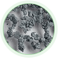 Zinc Ascorbate